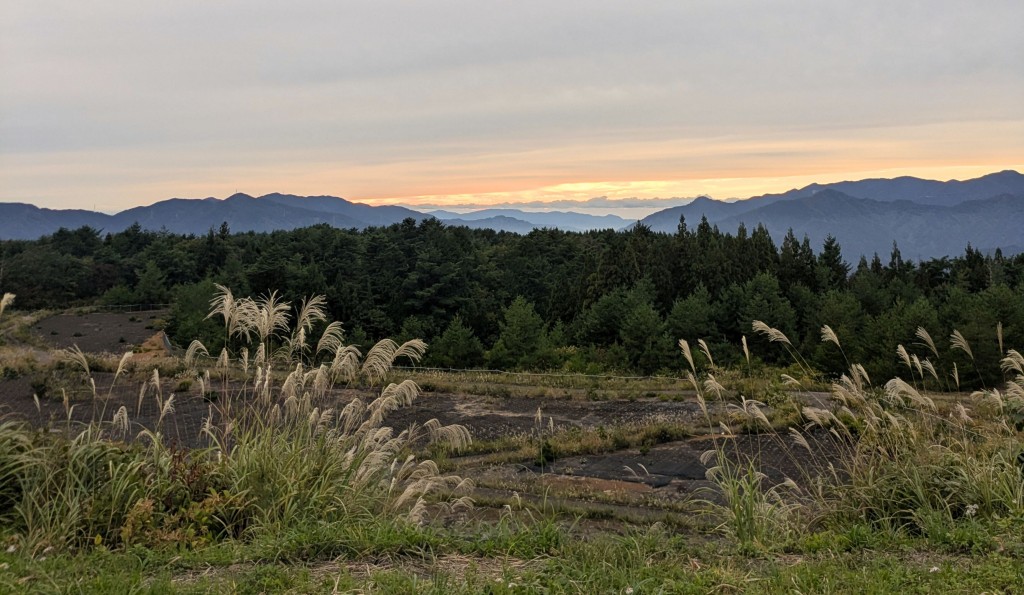 3423e131-f66e-45cb-ace5-d0550ec5c280_20251027_150117_0000