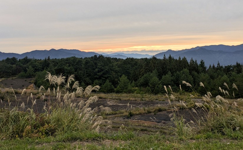 中学受験前の小児はり｜がんばる子の体と心を整えるサポート