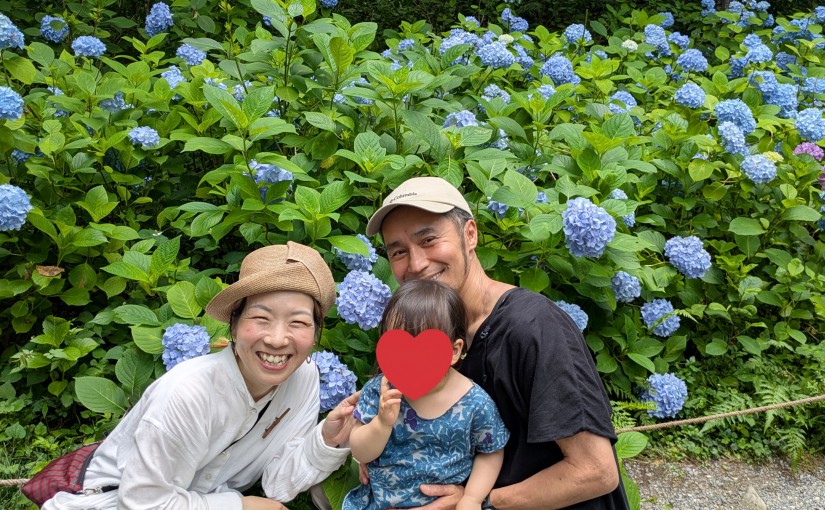 大原三千院 あじさい祭り