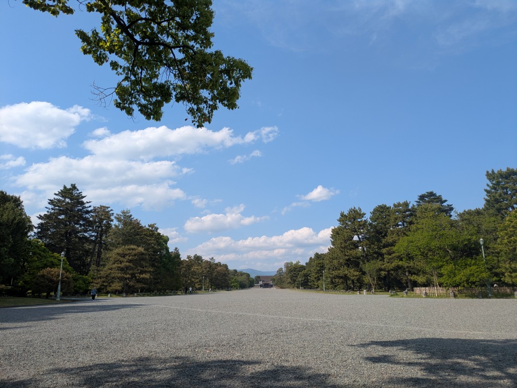 PXL_20250501_061013955