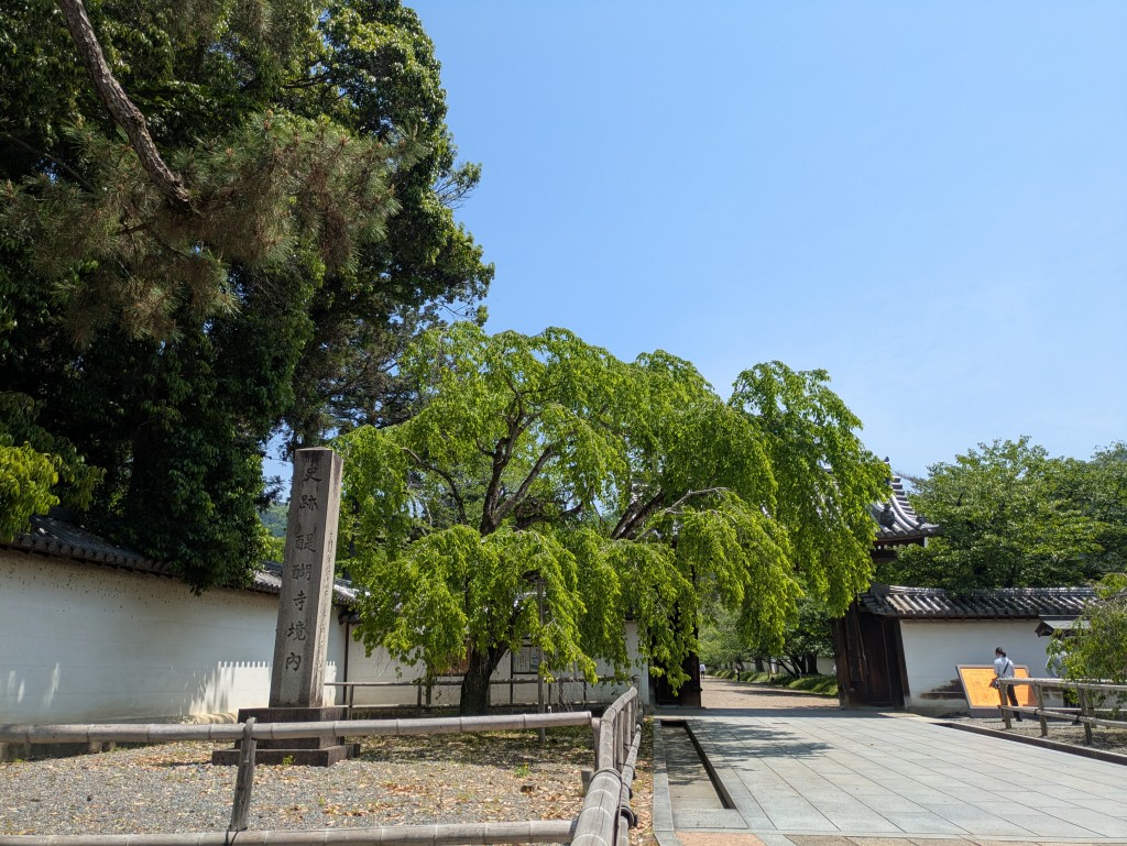 PXL_20250503_025717982
