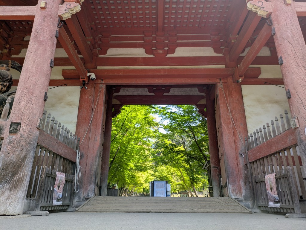PXL_20250503_030717188