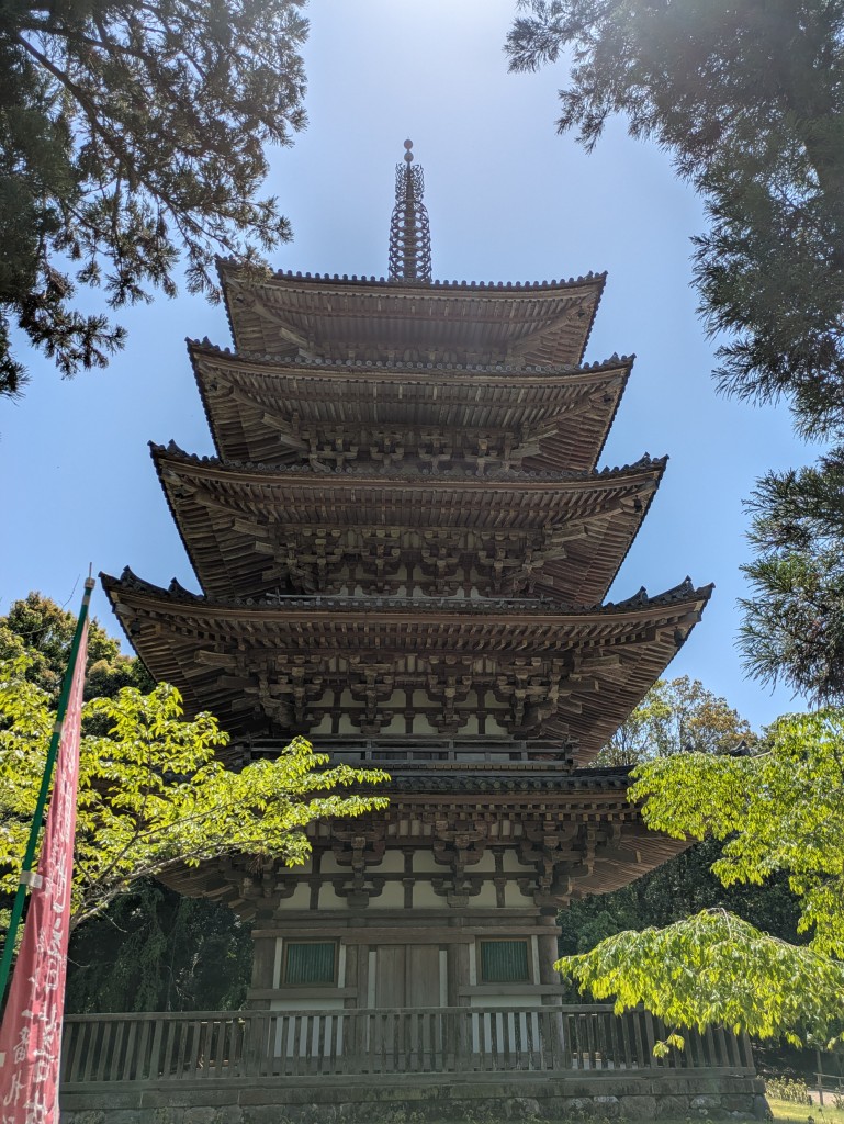 PXL_20250503_031720118