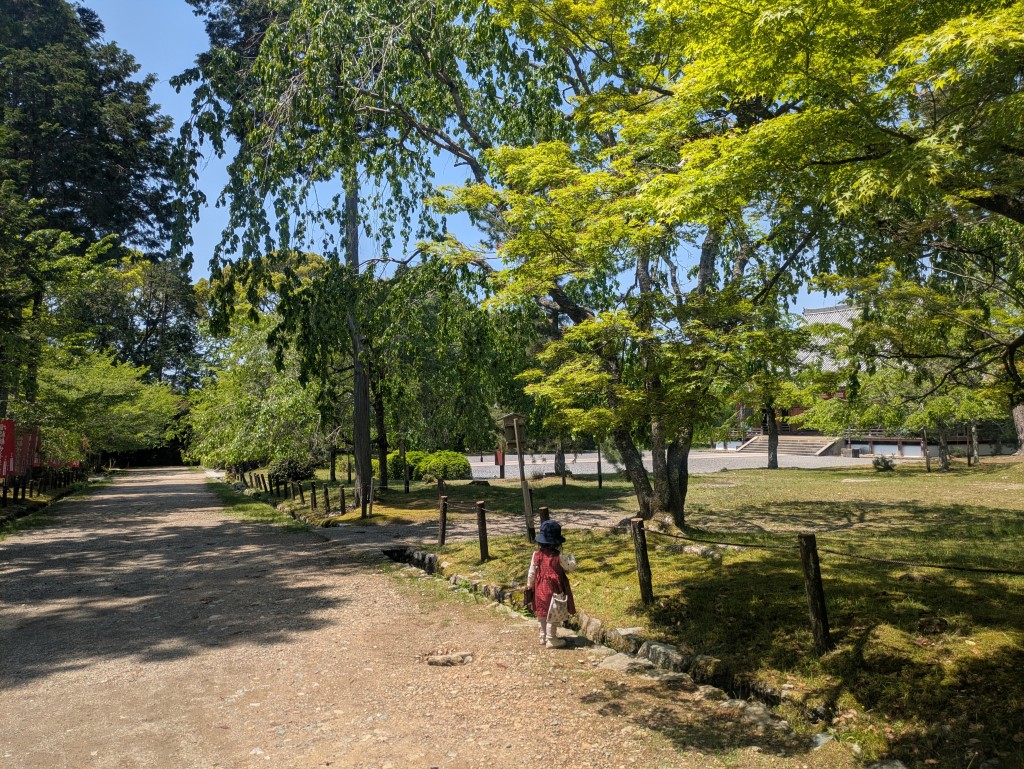 PXL_20250503_031929608