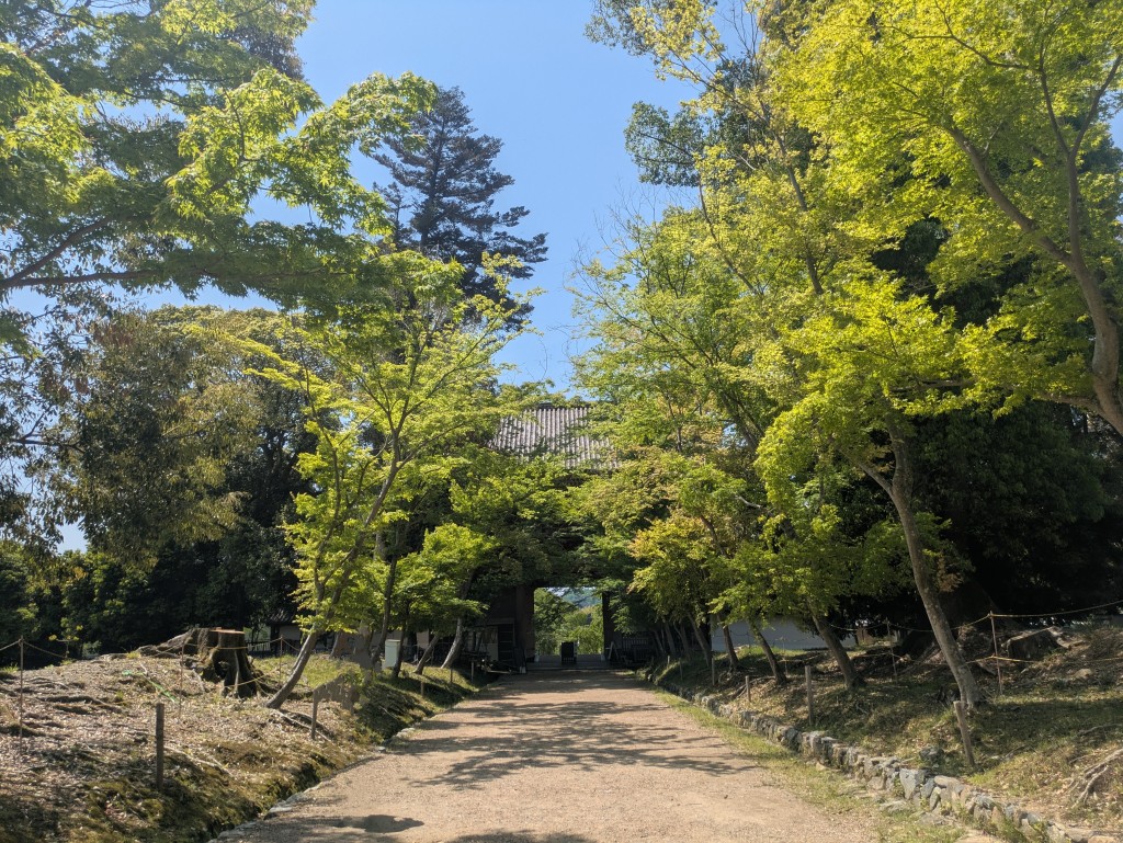 PXL_20250503_035634641~2