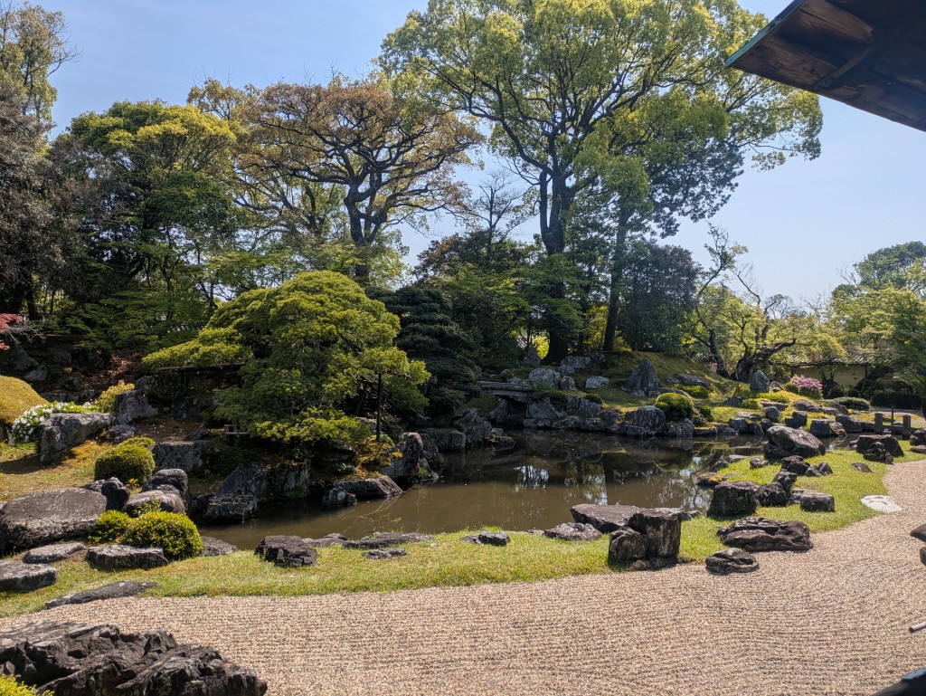 PXL_20250503_051214068