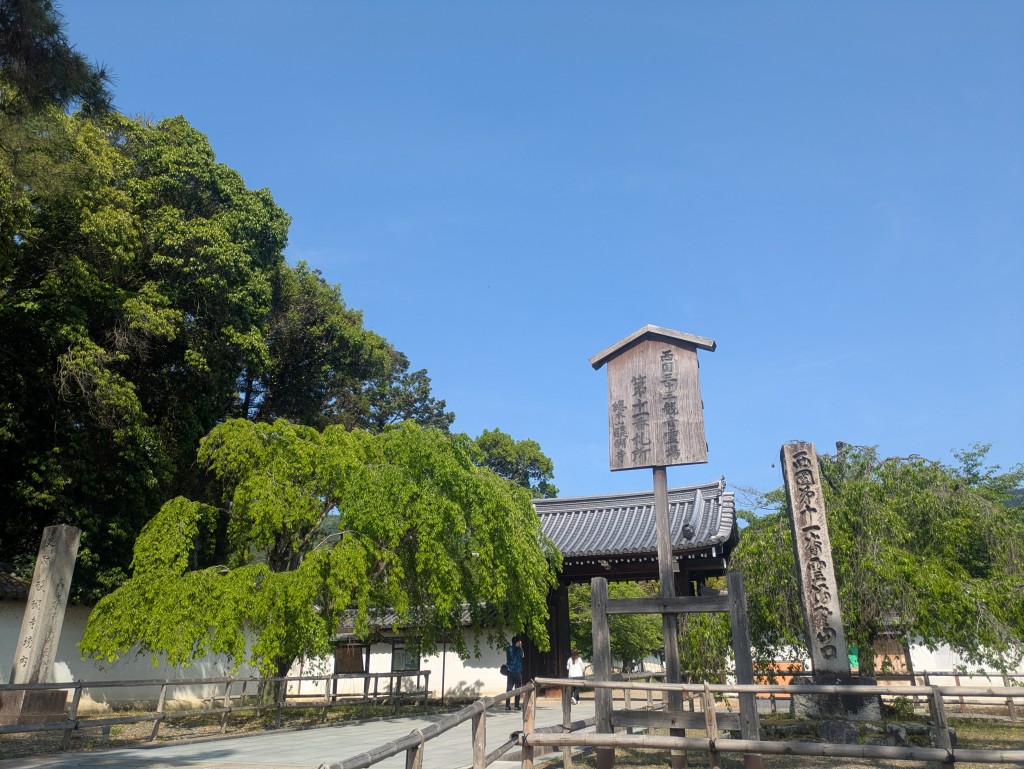 PXL_20250503_052608575